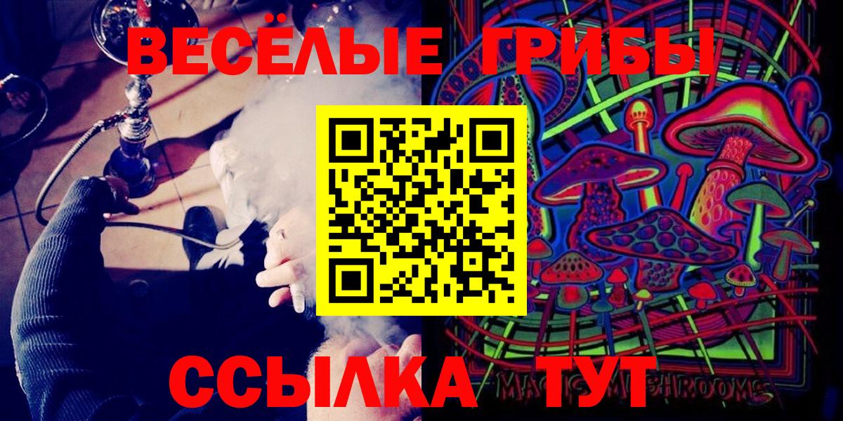 Псилоцибиновые грибы прущие грибы  цены   Полысаево  Псилоцибиновые грибы GOLDEN TEACHER  Вход с VPN 