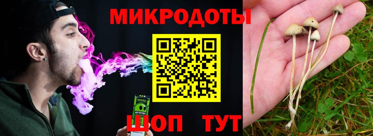 Галлюциногенные грибы прущие грибы Полысаево